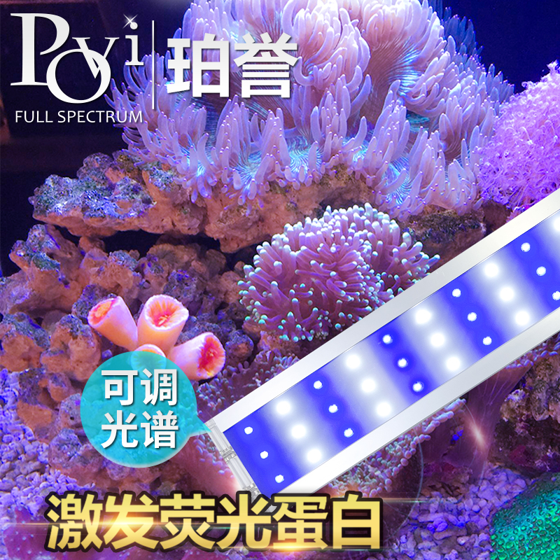 povi全光谱led海水藻缸珊瑚灯小丑鱼海藻 浅海LPS深海SPS水族灯箱